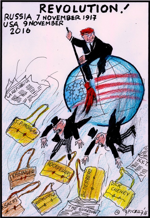 Vignetta Apicella.